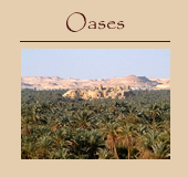 oases