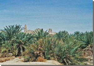 Siwa oase met de orakel tempel van Amon