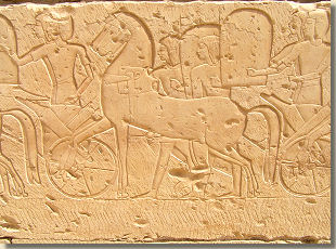 Paarden in de dodentempel van Ramses II te Abydos, 19de dynastie.