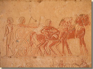 Paarden ingespannen voor een strijdwagen, generaalsgraf van Horemheb, 18de dynastie, Sakkara.
