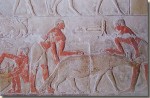 De mastaba van Kagemni – decoraties